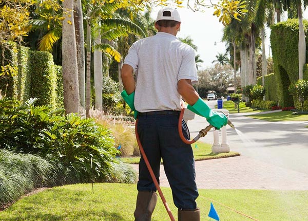 About Majestic KY Pest Control Pros